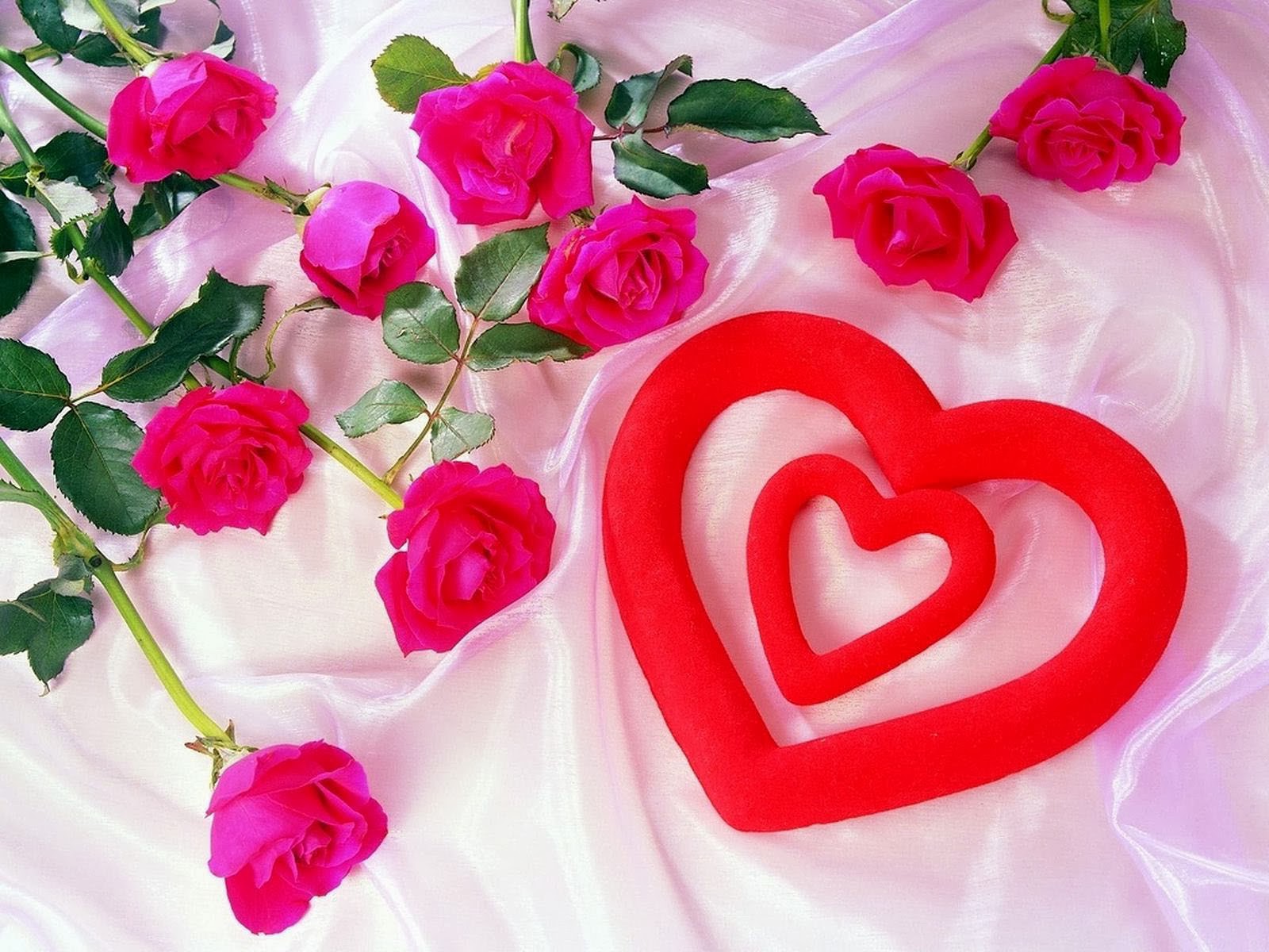 Love Flower | HD Wallpapers Pulse