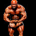 Robert Piotrkowicz | Mr Olympia Contest 2010