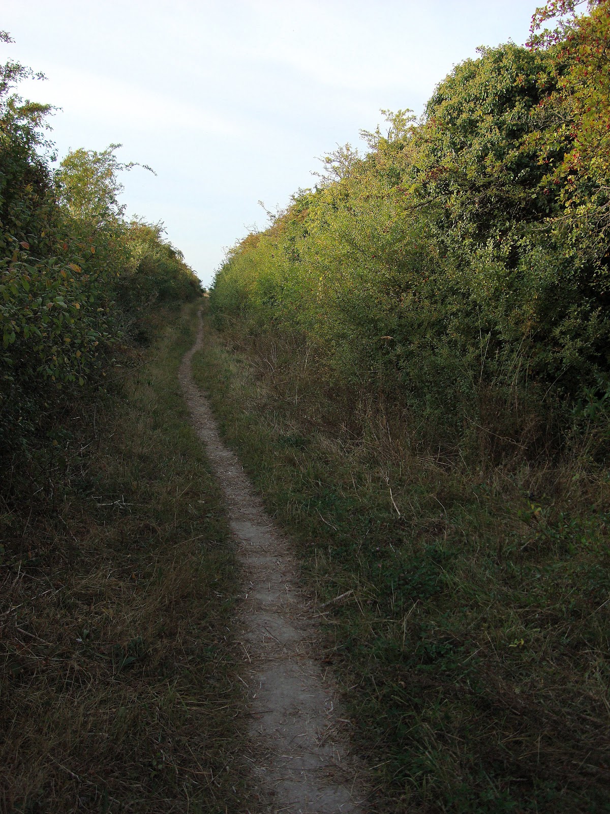 DSC09912.JPG