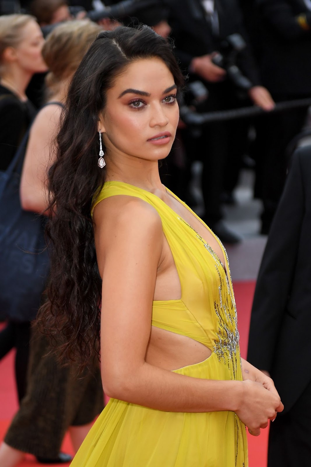 Shanina Shaik red carpet fashion dresses photo