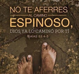 Frases Cristianas de Ánimo