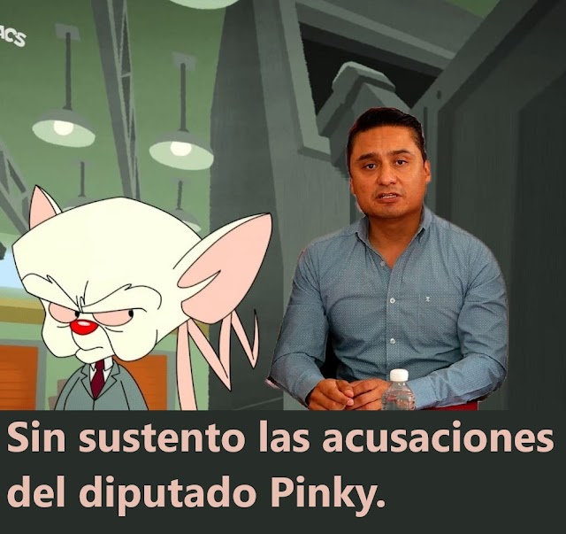 Diputado "Pinky"