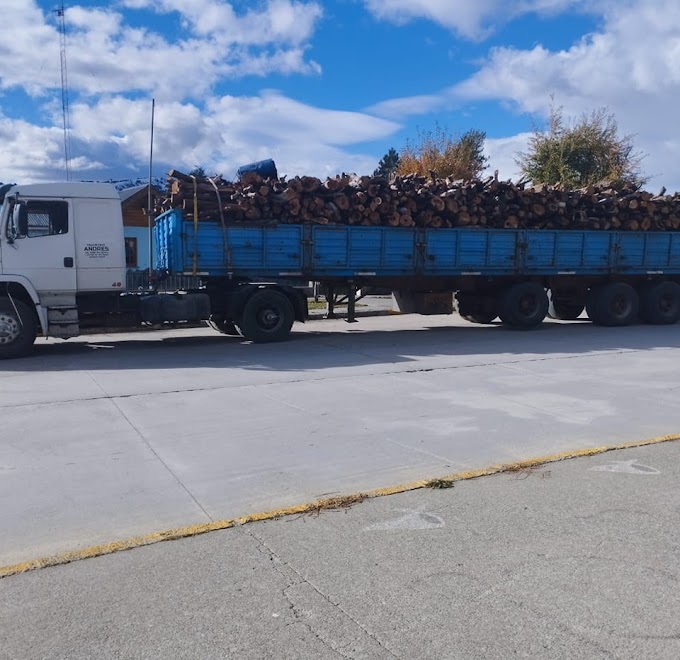 Cholila: Incautaron una importante cantidad de leña por infracción a la Ley de Bosques 