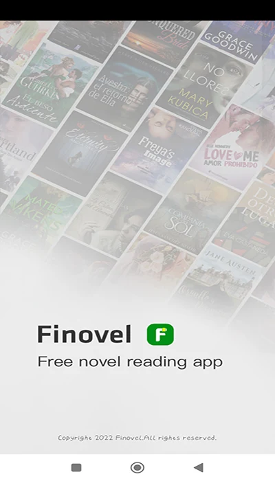 Finovel