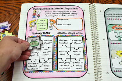 Science Interactive Notebook