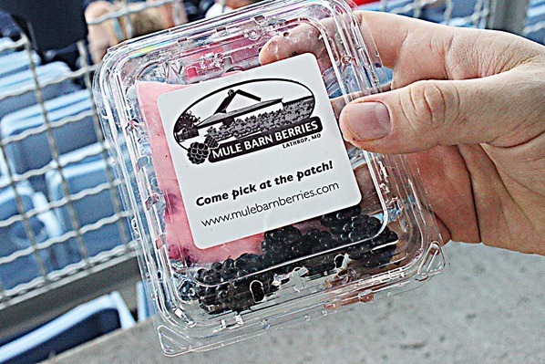 Farm-Aid-Food-13_thumb1_thumb