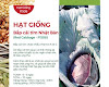 Hạt giống Bắp cải tím Nhật Bản