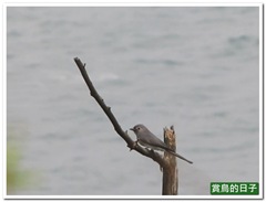 20110923_234302_014_YehLiu_43