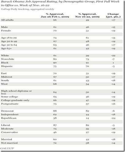 Gallup Demographics Nov 24