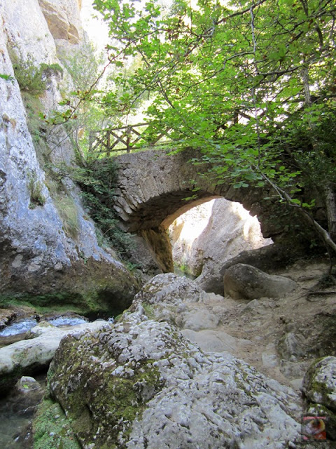 Desfiladero del Río Purón, Valderejo, Valdegovía, Alava y Herrán, Burgos