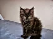 My photo