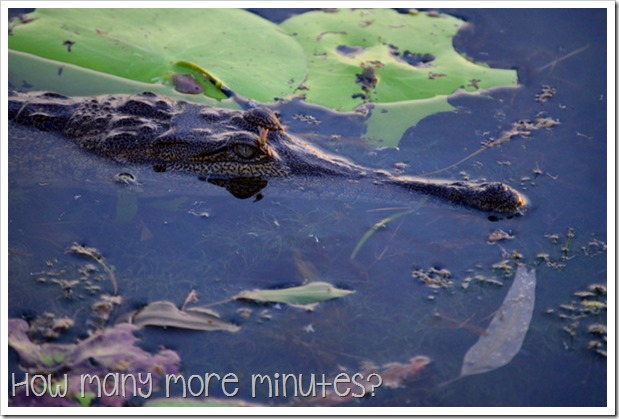 Kununurra: Crocs & a Jabiru | How Many More Minutes?