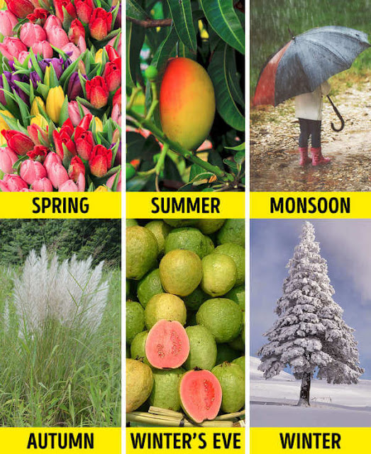 Nếu các nước khác trên thế giới chỉ có nhiều nhất 4 mùa thì Ấn Độ lại sở hữu đến tận 6 mùa một năm.    Mùa xuân: Giữa tháng 2 đến giữa tháng 4 Mùa hè: Giữa tháng 4 đến giữa tháng 6 Gió mùa: Giữa tháng 6 đến giữa tháng 8 Mùa thu: Giữa tháng 8 đến giữa tháng 10 Tiền đông: Giữa tháng 10 đến giữa tháng 12 Mùa đông: Giữa tháng 12 đến giữa tháng 2