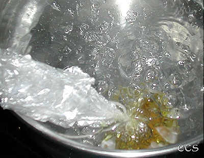 DSCN4202