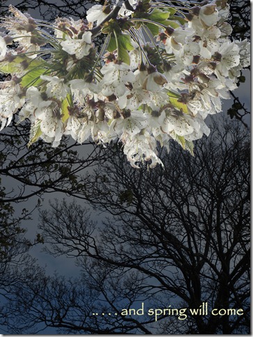 photoart-april-20