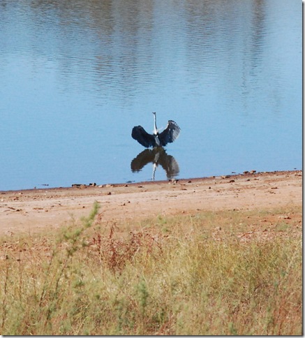 11-25-12 A Elk City Lake Park 014a