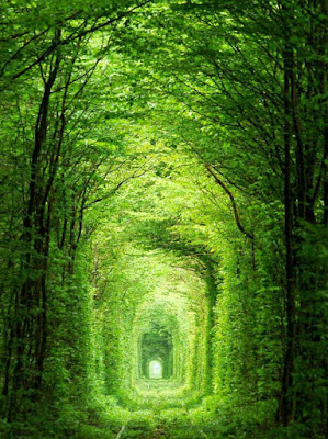 tunnel of love in ukraine,beautiful love tunnel