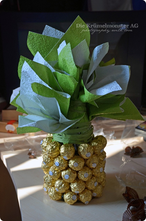 Schokoananas (2)