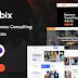 Conbix - Business Consulting HTML Template Review