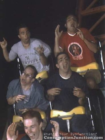 funny rollercoaster