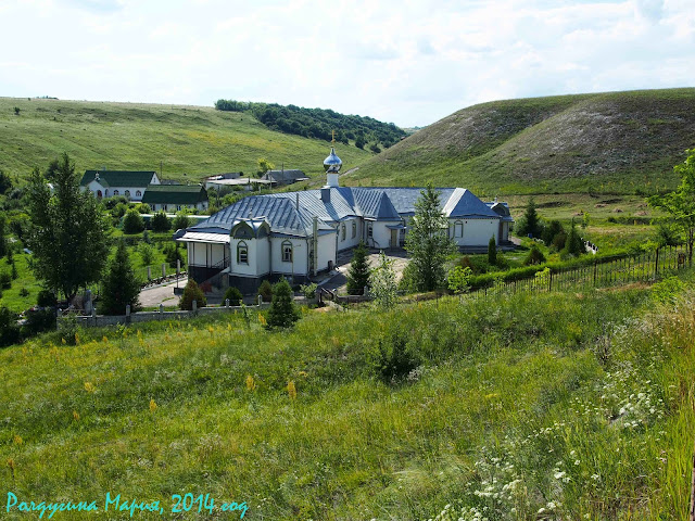 Дивногорье Костомарово Воронеж