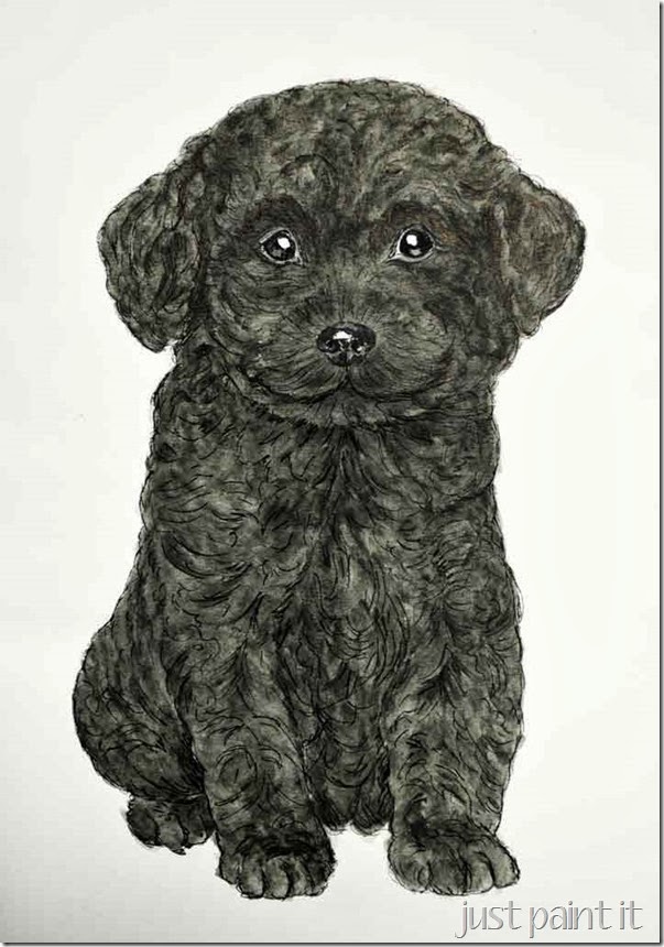 Poodle-Pup-Illustration