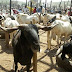 Eid-el-Kabir: Ogun govt warns ram sellers