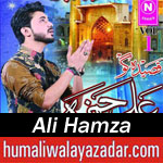 http://www.humaliwalayazadar.com/2016/06/ali-hamza-qasida-2016.html