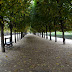 Jardin du Palais Royal - l'automne