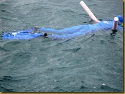 snorkling