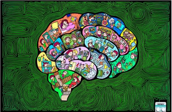 Brain
