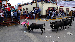 Toros para fondo de pantalla 1920x1080,toros bravos jaripeo,jaripeo de toros 2016,jaripeo de niños,que es jaripeo,muertes en jaripeos de toros,jaripeo de toros los destructores,jaripeos de toros peligrosos,jaripeos de toros de memo ocampo,toros de jaripeo que se salen del ruedo