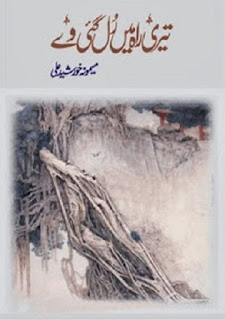 Teri Rah Mein Rul Gai Vey Urdu Novel By Memona Khurshid Ali