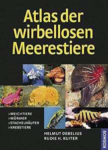 Atlas der Meerestiere - Wirbellose