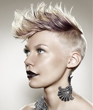 Punk Hairstyle 2012 on Beautiful Hair Styles  Girl   S Punk Hairstyles   2012 Models