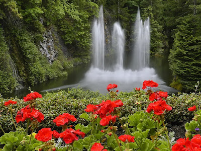 Flores perfumadas adornando la cascada