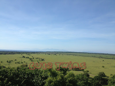 Taman Nasional Baluran Situbondo dari atas