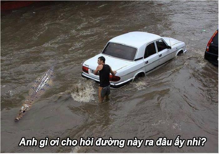Anh rỳ rỳ ê!! Em hỏi tí :3 Ad: hà nội phố