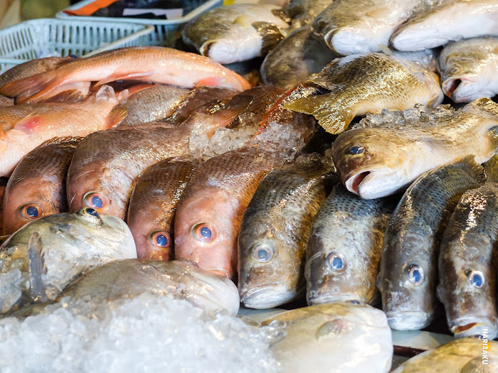 Ikan jenahak dan merah yang diletakkan di atas ais