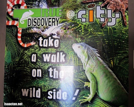 True Discovery Reptile Collection At ICity  Isaactan.net  Events • Food • Tech • Travel