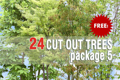 Cut Out Trees Pack #5
