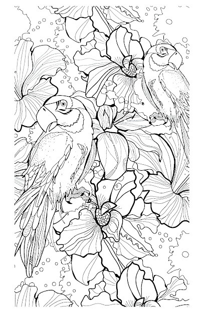 Free Coloring Page Coloringadultdifficultparrots Animal Coloring  Pagescoloring 