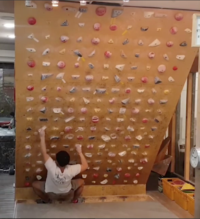 MOON BOARD KOREA - Koala Climbing 