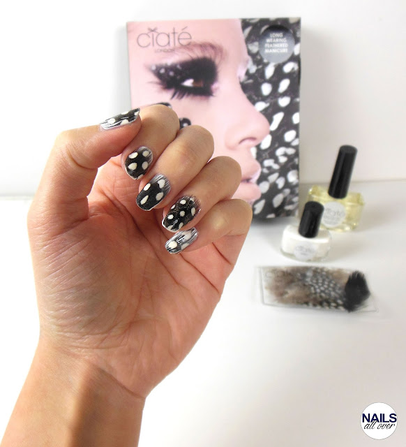 Nailsallover Nails All Over - Maniküre - Feder - Nailart - Naildesign