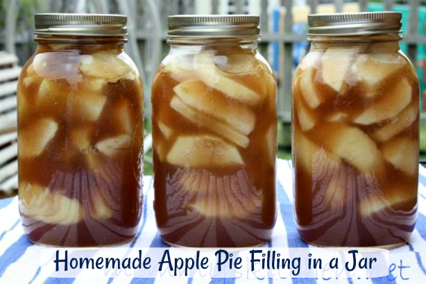 Mommy S Kitchen Apple Pie Filling In A Jar