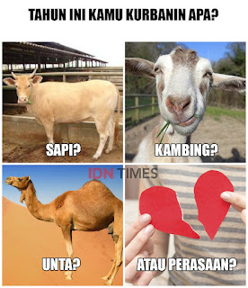 Populer Gambar Lucu Qurban Idul Adha Terkeren