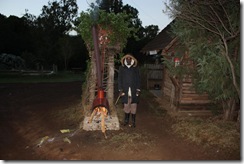 IMG_0982_1024x683