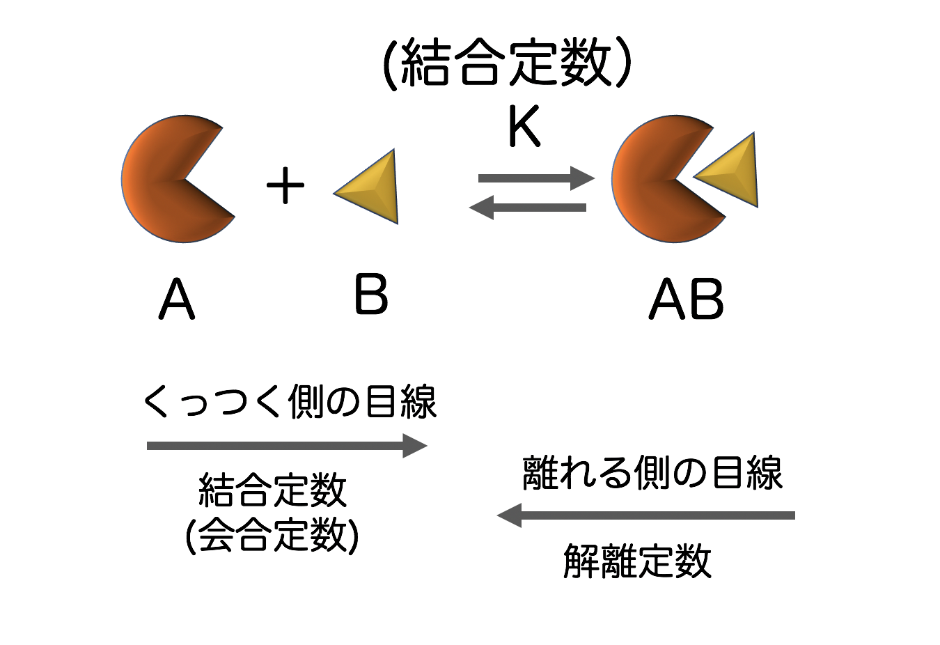 平衡定数 会合定数 解離定数 結合定数を理解する上で必要な４つのポイント 化学のススメ