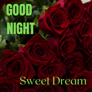 GOOD NIGHT SWEET DREAM IMAGE WITH ROSE