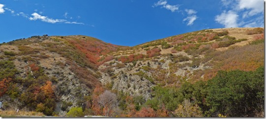 Fall in the Wasatch